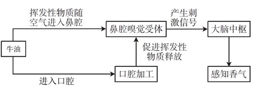 半岛体育【技术专栏】整明白了!风味感知、检测、预测全套技术路线(图3) 半岛体育【技术专栏】整明白了!风味感知、检测、预测全套技术路线(图3)