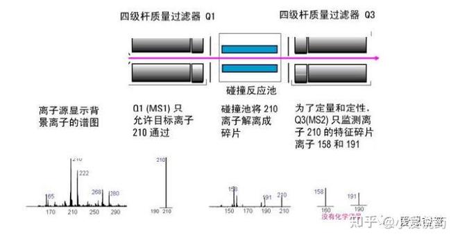半岛体育《爱求索》之成药性评价基础篇——药物的分析_药代动力学检测(图2) 半岛体育《爱求索》之成药性评价基础篇——药物的分析_药代动力学检测(图2)