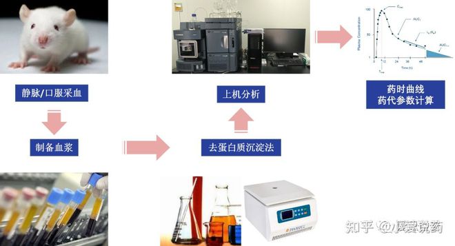 半岛体育《爱求索》之成药性评价基础篇——药物的分析_药代动力学检测(图5) 半岛体育《爱求索》之成药性评价基础篇——药物的分析_药代动力学检测(图5)