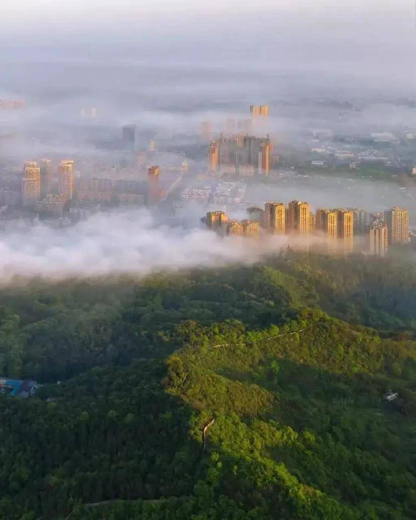 山水龙泉驿丨看龙泉半岛体育驿如何让大气治理更智慧(图2) 山水龙泉驿丨看龙泉半岛体育驿如何让大气治理更智慧(图2)